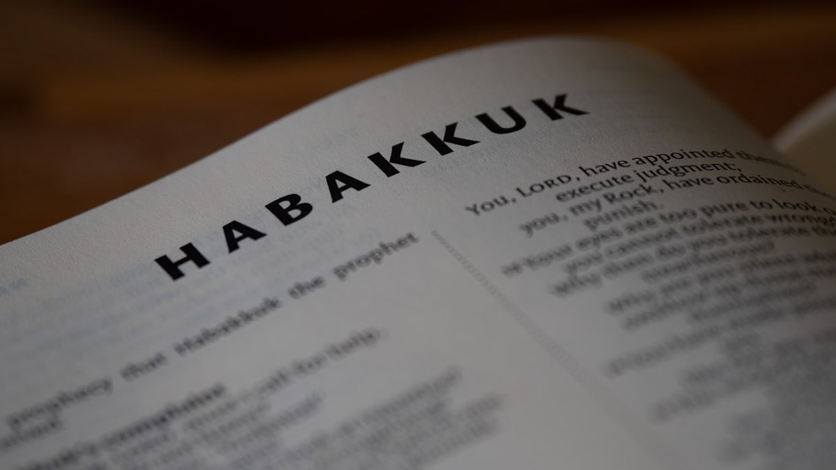 close up, bokeh, macro, blur, blurred background, close focus, bible, old testament, hebrew bible, christian, judaism, history, text, reading, bible study, devotions, New International Version, type, typography, canon, christianity, scripture, old testament, hebrew bible, habakkuk, minor prophet, Habacuc,